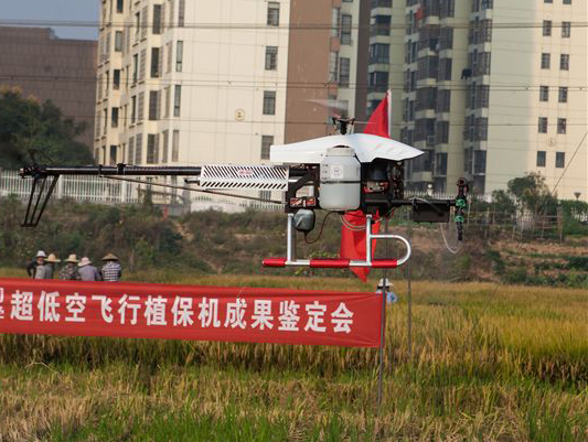 米兰平台app体育-官方版-米兰电竞直播
科技超低空遥控飞行植保机通过科研成果鉴定