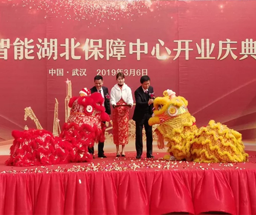同心同梦，米兰平台app体育-官方版-米兰电竞直播
智能全球客户交流会武汉站隆重举行