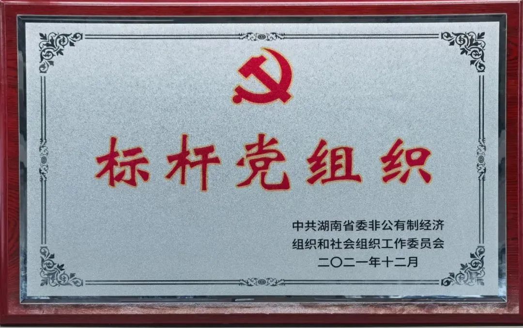 党建品牌亮起来！米兰平台app体育-官方版-米兰电竞直播
智能党委获评“标杆党组织”