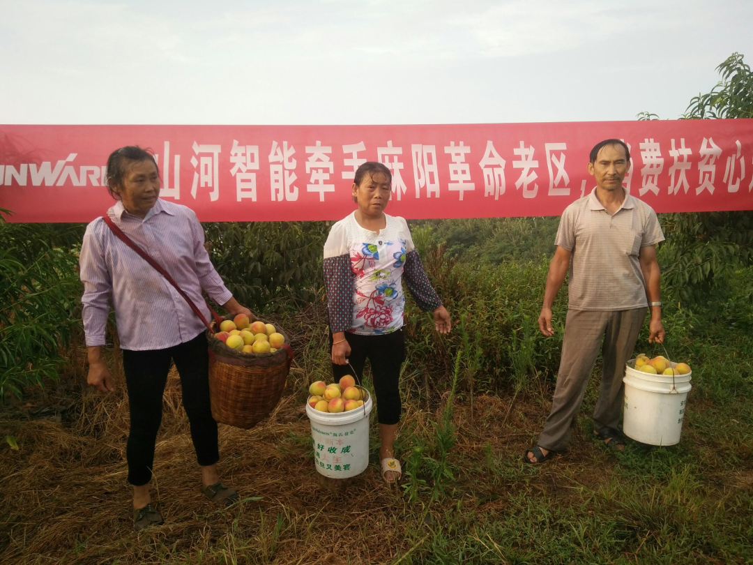 点赞！米兰平台app体育-官方版-米兰电竞直播
智能成功入选“上市公司乡村振兴优秀实践案例”